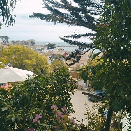 Cabanas El Bosque Maitencillo  Ngoại thất bức ảnh