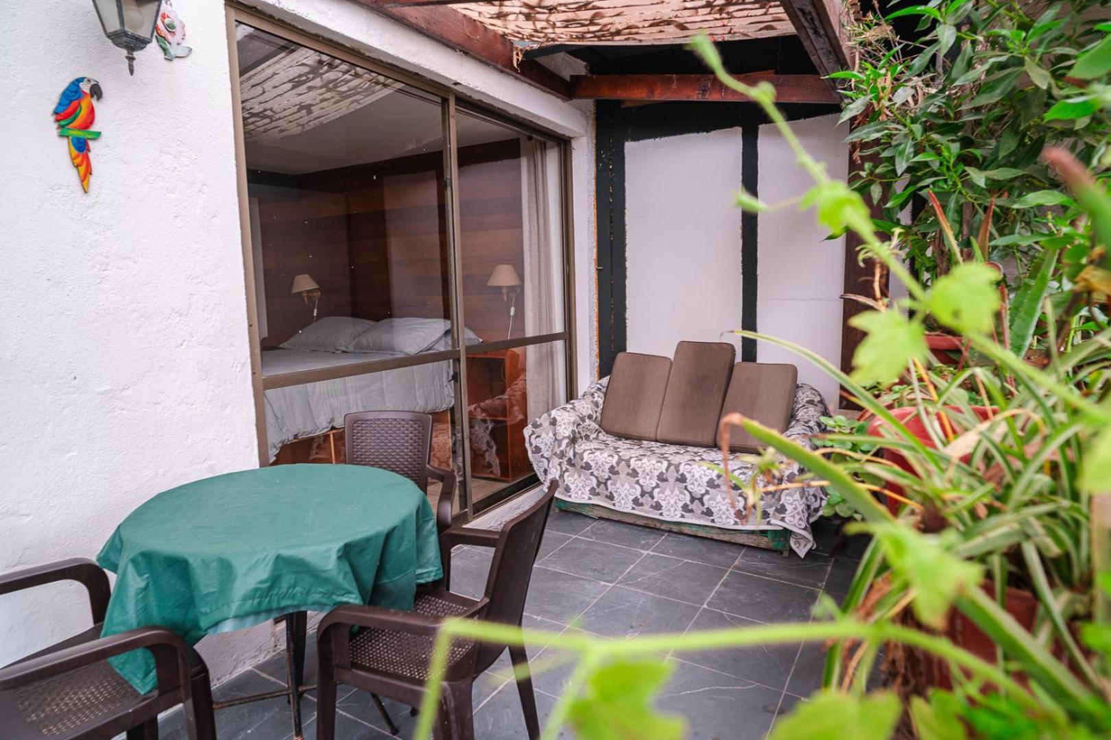Cabanas El Bosque Maitencillo  Ngoại thất bức ảnh